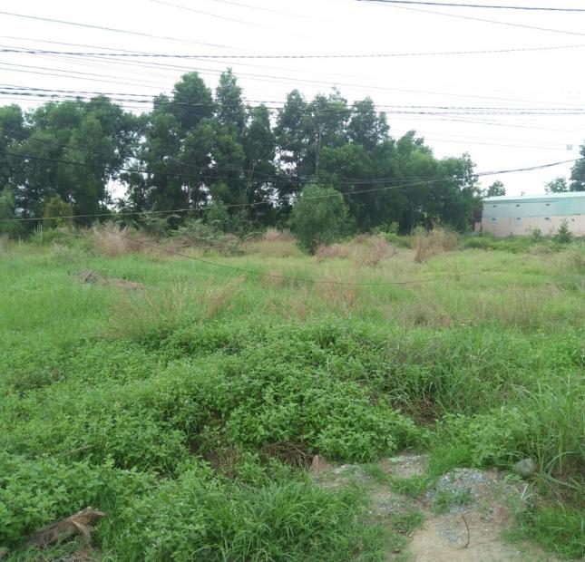 [LONG AN] Hàng ngon giá rẻ !!! bán 5,2 ha đất - xã bình thành – đức huệ - dt: 52k m² - giá 34 tỷ.