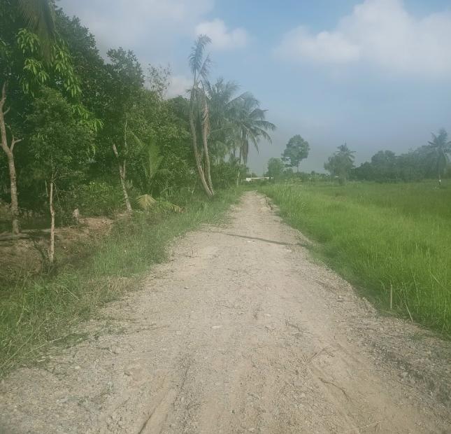 BÁN ĐẤT ẤP 4 XÃ NHỰT CHÁNH , H. BẾN LỨC , LONG AN