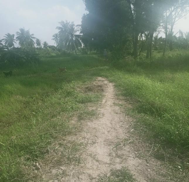 BÁN ĐẤT ẤP 4 XÃ NHỰT CHÁNH , H. BẾN LỨC , LONG AN