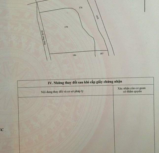 BÁN ĐẤT ẤP 4 XÃ NHỰT CHÁNH , H. BẾN LỨC , LONG AN