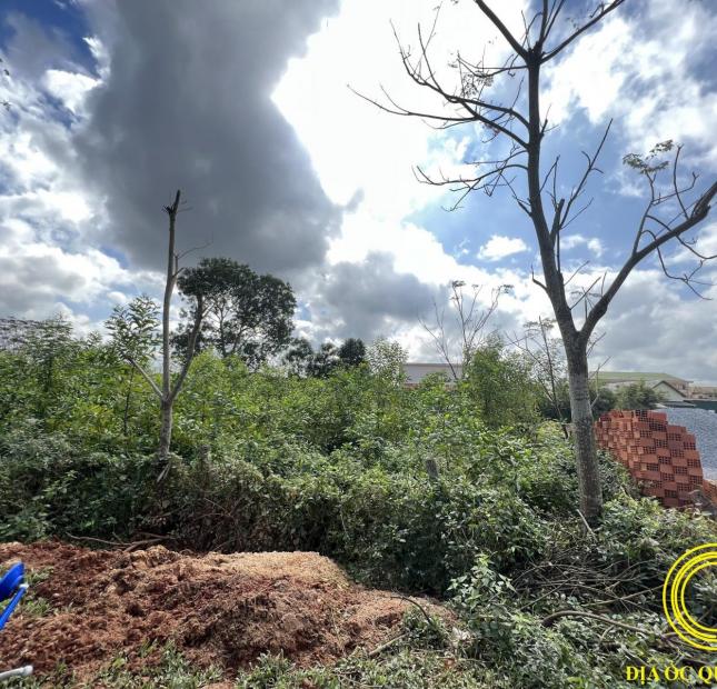 Đất mặt tiền đường Cần Vương, ngay TT Cam Lộ, Quảng Trị.
