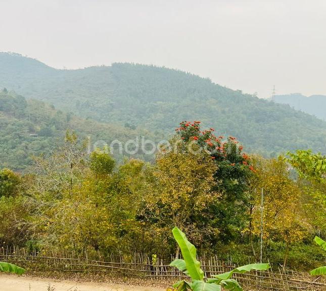Bán đất nền nghỉ dưỡng đẹp như Đà Lạt tại Kỳ Sơn, Hòa Bình