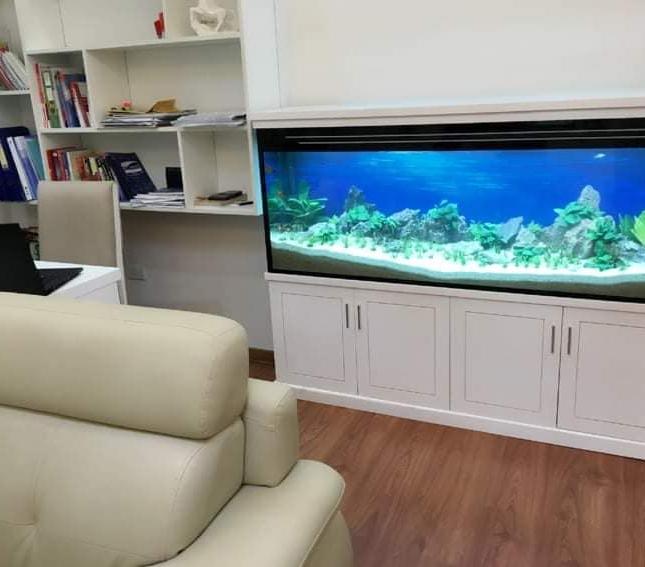 Bán nhà mặt ngõ Ô tô phố Thanh Nhàn 50m2 6 tầng MT 5.5m Kinh doanh tốt 7 tỷ15