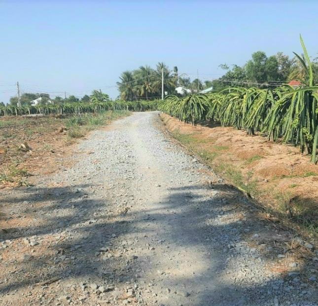 49 tỷ diện tích 9848.7m2 mặt tiền đường đồng tranh Phú Quốc Kiêng giang chính chủ