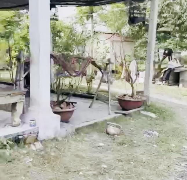 780 triệu đức hòa thượng long an 90m2 thổ cư đường đá xanh 3m có 2 lô liền kề giá đầu tư