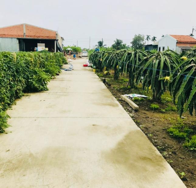 Chính chủ bán 650tr đất thổ cư bìa hồng Long An- Châu Thành  10*20 full thổ cư đường đan 3m trước