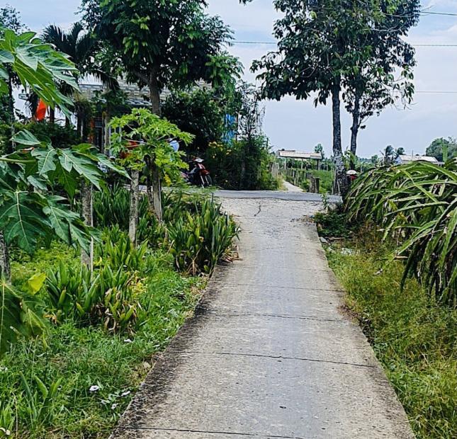 550tr đất nhà vườn 100m2 quá đẹp rẻ nhất tại phước tân hưng châu thành long an