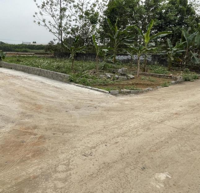 Đất Bình Yên ven CNC Hòa Lạc, bán 65m2 ngay TT xã Bình Yên, cách hồ Tân Xã, Viettel, ĐH FPT 2km