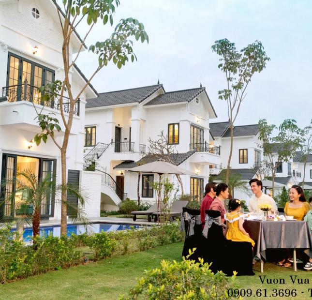 Sở hữu biệt thự khoáng nóng tự nhiên Vườn Vua Resort Thanh Thủy giá chỉ từ 15tr/m2.