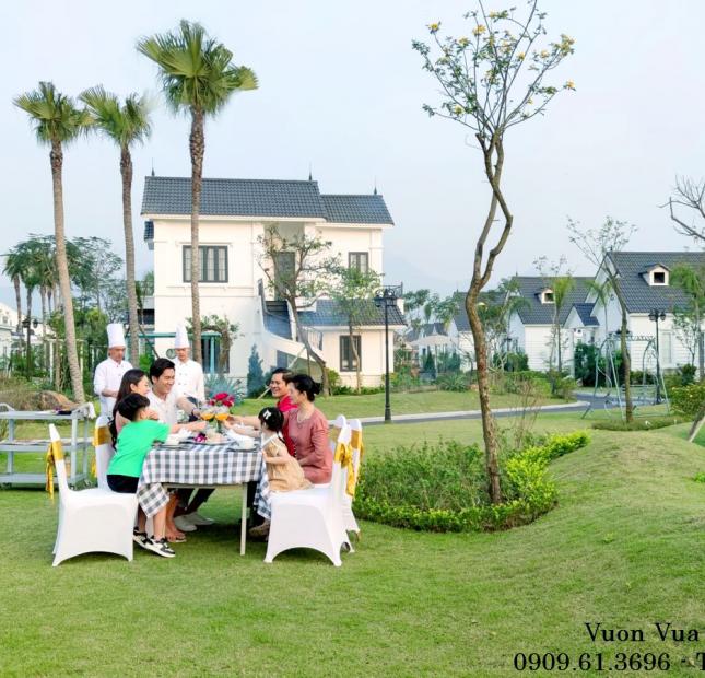 Sở hữu biệt thự khoáng nóng tự nhiên Vườn Vua Resort Thanh Thủy giá chỉ từ 15tr/m2.