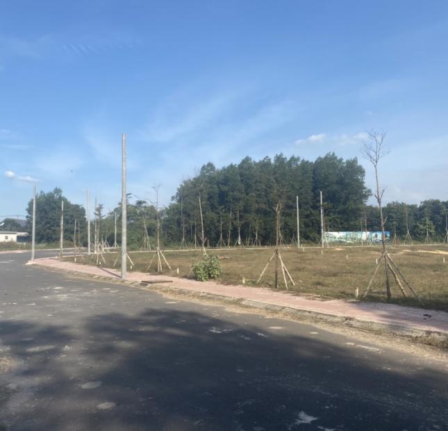 Bán đất nền dự án tại Xã Lộc An, Long Thành, Đồng Nai giá rẻ