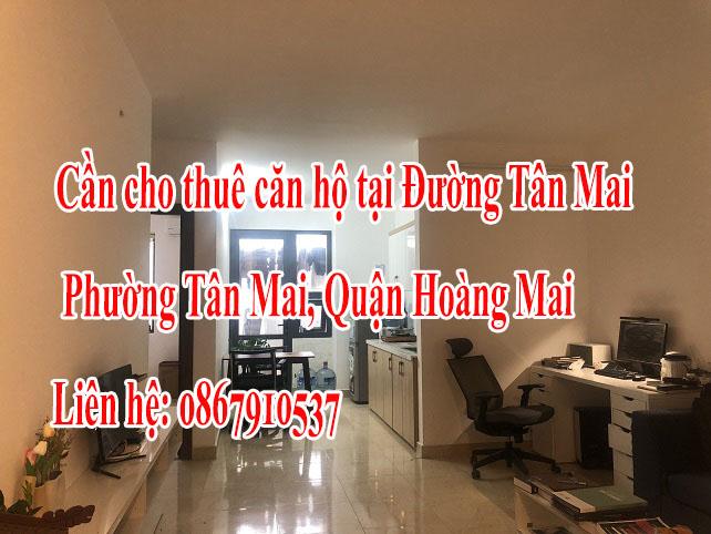 Chính chủ cần cho thuê căn hộ ( tầng 10)  tại Đường Tân Mai, Phường Tân Mai, Quận Hoàng Mai, Hà
