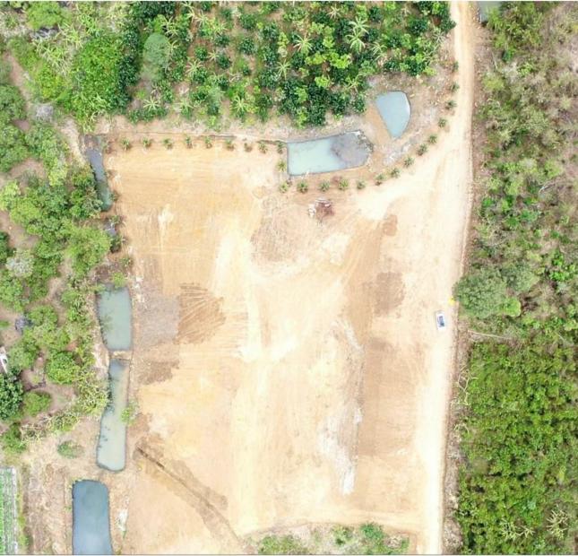 6,620 m2 đất  Full hồng mặt tiền dài miên man, 1 Xẹt đường Vành đai IV, Giáp hồ Cầu Mới Bàu Cạn