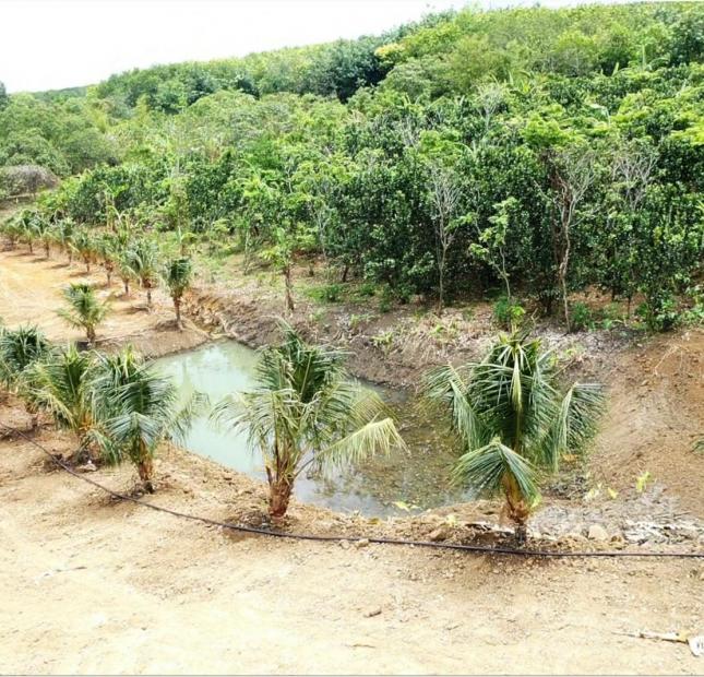 6,620 m2 đất  Full hồng mặt tiền dài miên man, 1 Xẹt đường Vành đai IV, Giáp hồ Cầu Mới Bàu Cạn