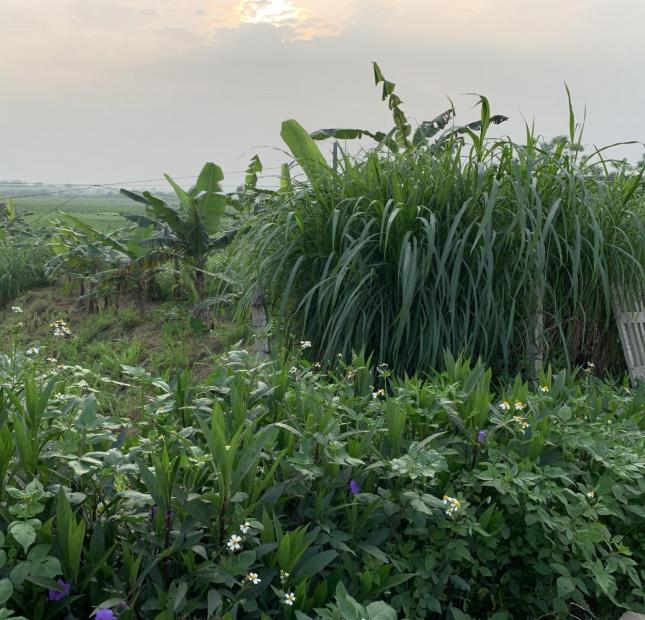 BÁN ĐẤT ĐẤU GIÁ ĐOAN HẠ THANH THỦY. DT: 127.5M GIÁ: 1.8 TỶ