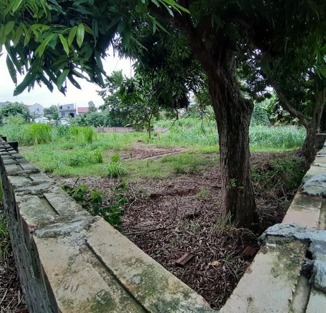 Lô góc 1678m2 đất Thổ và Vườn tại Vạn Hưng, Vạn Ninh gần KCN Dốc Đá Trắng.