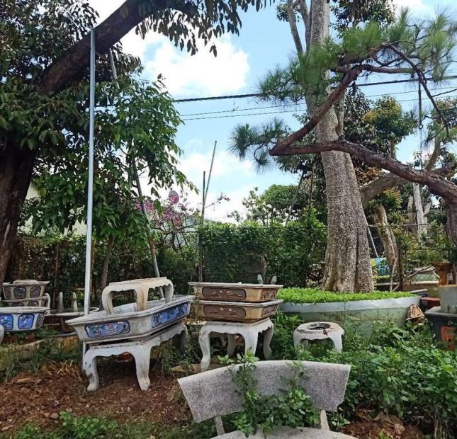 Cần bán đất Võ Văn Kiệt, Phường Yên Thế, Thành phố Pleiku, Tỉnh Gia Lai