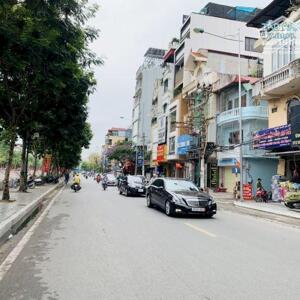             Mặt phố Bạch Mai 110m2 – MT 4.5m giá chào 28 tỷ