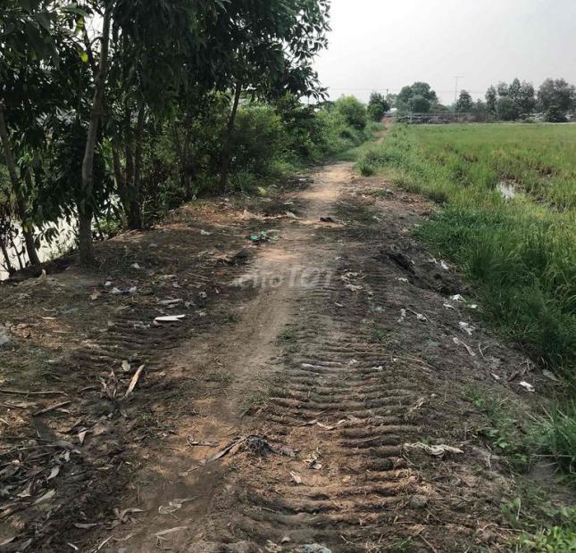 Chính chủ Cần bán Đất trồng lúa ở Thị trấn Hiệp Phước, Huyện Nhơn Trạch, Đồng Nai