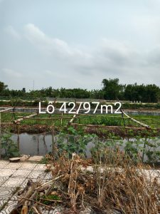 Bán Lô Đất Vị Trí Đắc Địa Tại Khu TDC Hồng Thái