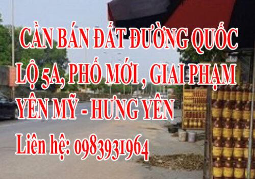 CHÍNH CHỦ CẦN BÁN ĐẤT ĐƯỜNG QUỐC LỘ 5A, PHỐ MỚI , GIAI PHẠM, YÊN MỸ, HƯNG YÊN