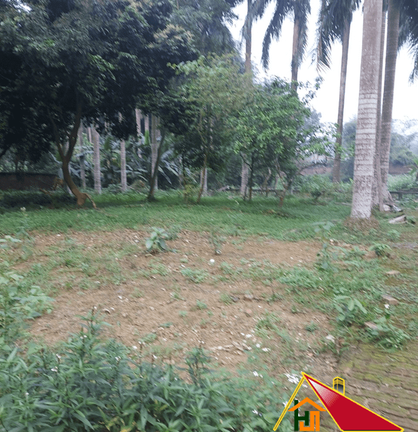 Chính chủ bán đất thổ cư tại Xã Hòa Sơn, Huyện Lương Sơn, Hòa Bình