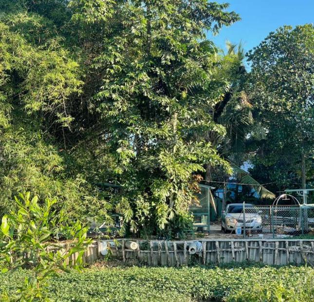 Cần bán đất vườn thổ cư mặt tiền đường Bờ Bao SÔng Sài Gòn Bình Dương