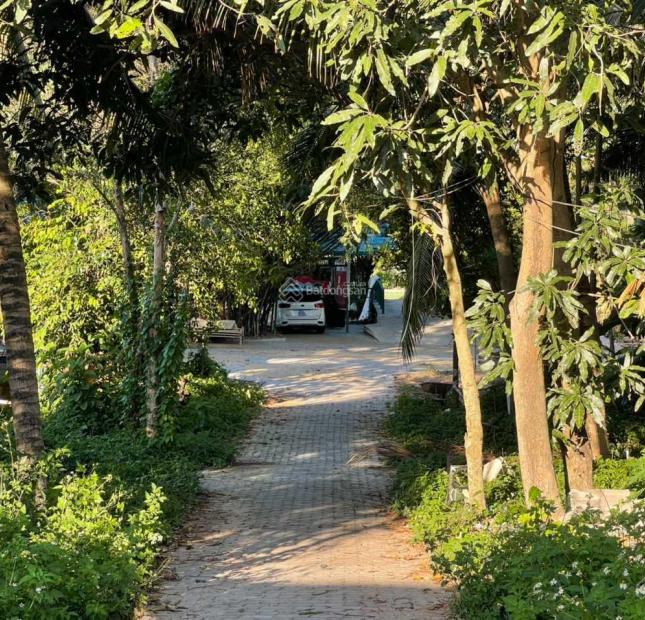 Cần bán đất vườn thổ cư mặt tiền đường Bờ Bao SÔng Sài Gòn Bình Dương