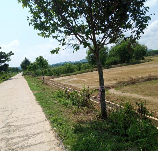 Cần bán lô đất ruộng, mặt tiền đường tại Đắc Lua, huyện Tân Phú, tỉnh Đồng Nai. Liên hệ: 0344668938