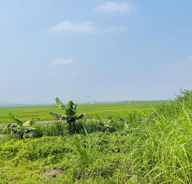 Bán Đất Đầu Cầu Hoàng Xá - Thanh Thủy - Phú Thọ