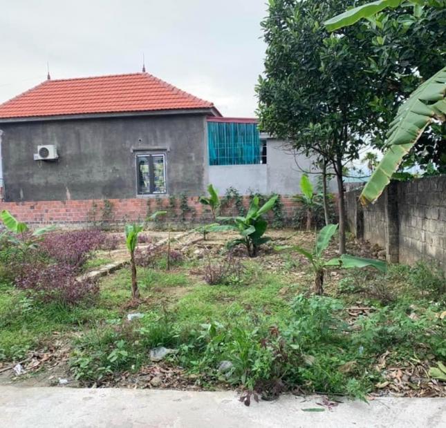 Cần bán nhanh lô đất Thôn 3 – xã Cao Nhân – Huyện Thuỷ Nguyên – Thành Phố Hải Phòng