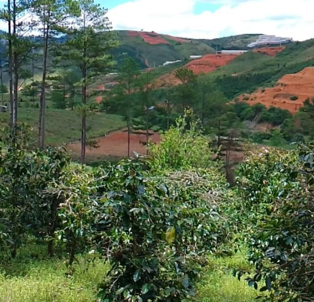 Bán Gấp Lô Đất Nông Nghiệp Sạch ngay Cầu Đa Đum/ Đa Sar/ Lạc Dương Lâm Đồng