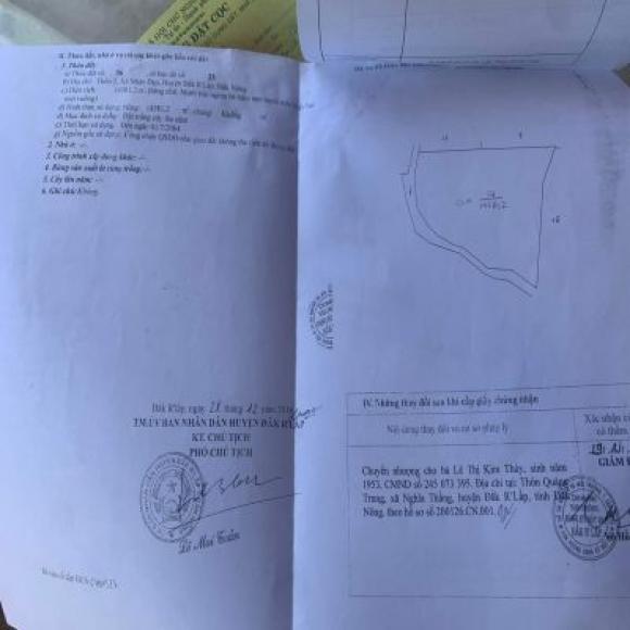 CẦN BÁN GẤP LÔ ĐẤT RẪY TẠI THÔN 2 , XÃ NHÂN ĐẠO , H ĐĂK RLẤP , ĐẮK NÔNG