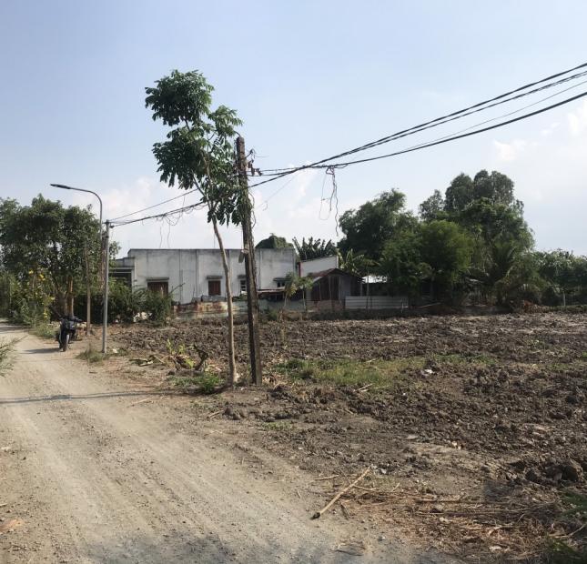 chính chủ cần bán lô đất lúa 1600 m2 tại huyện Cần Đước - tỉnh Long An.