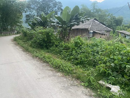 Chính chủ cần bán lô đất tại khu 3, xã Nga Hoàng, huyện Yên Lập, Phú Thọ.