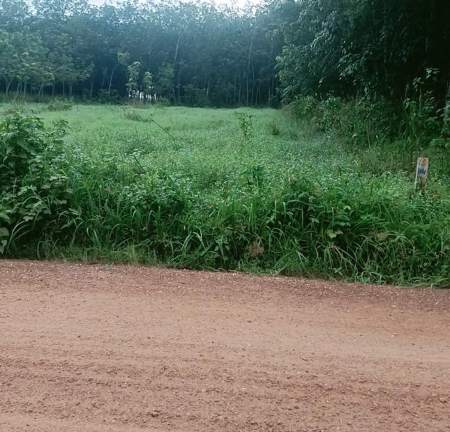 Mình có lô đất ở xã Minh Tân, Dầu Tiếng, Bình Dương.