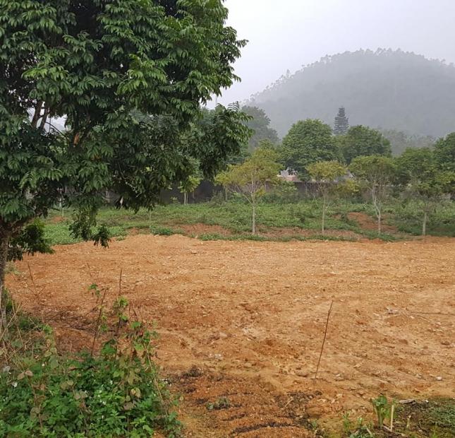 Bán Đất View Hồ Phượng Mao - Thanh Thủy - Phú Thọ