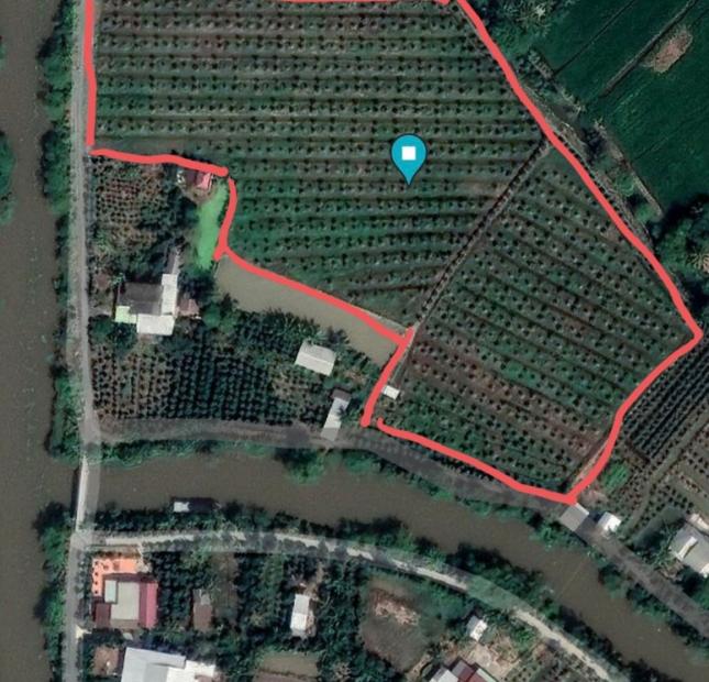 Cần sang lại trang trại 8500m2 tại xã Hậu Mỹ Trinh,Cái Bè,Tiền Giang