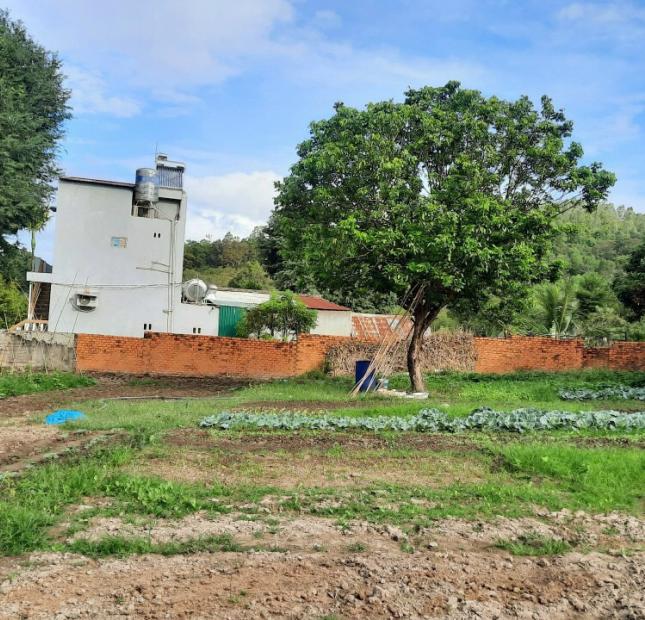 Chính chủ cần bán gấp lô đất đẹp tại hẻm Nguyễn Trường Tộ – Buôn Ma Thuột – Đăk Lăk
