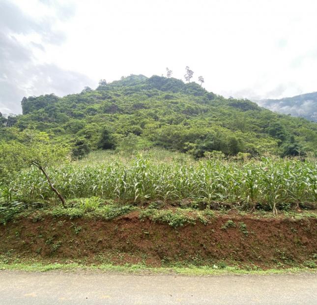 Mảnh đất 1000m2 tại Quản Bạ- Hà Giang đón đầu quy hoạch ( LH: 0369583341 )