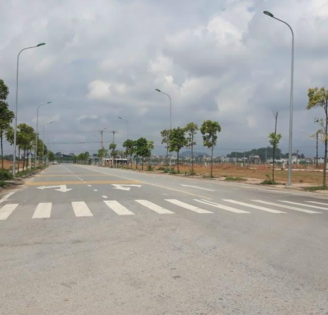 Bán đất giai đoạn 2,Lô E4-28-24: 125m2 KĐT Nam Vĩnh Yên.