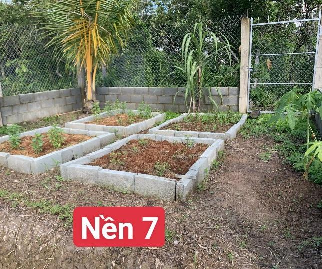 3 NỀN LIỀN KỀ 7,8,9 ĐẤT_SINH_THÁI  TẠI ẤP 2 XÃ QUƠÍ SƠN, HUYỆN CHÂU THÀNH, TỈNH BẾN TRE