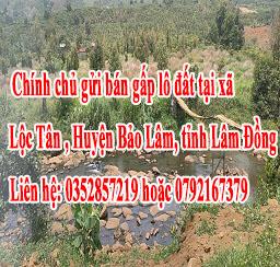 Chính chủ gửi bán gấp lô đất tại xã Lộc Tân , Huyện Bảo Lâm, tỉnh Lâm Đồng