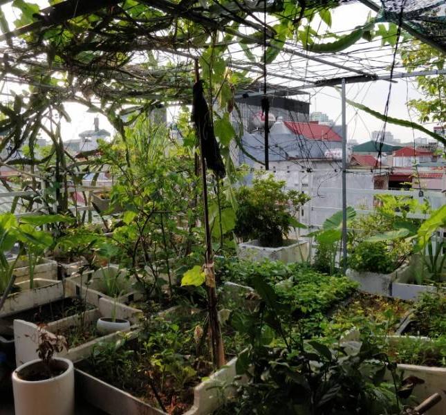 Cần bán nhà phân lô phố Đội Nhân, Phường Vĩnh Phúc, Quận Ba Đình, Hà Nội