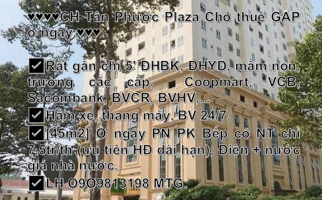 ♥️♥️♥️CH Tân Phước Plaza Cho thuê GẤP ở ngay.♥️♥️♥️