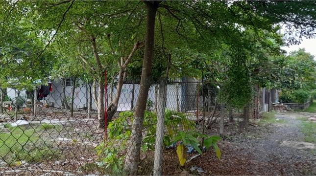 Đất Lớn Hóc Môn Tiện Dựng Xưởng Xây Biệt Thự