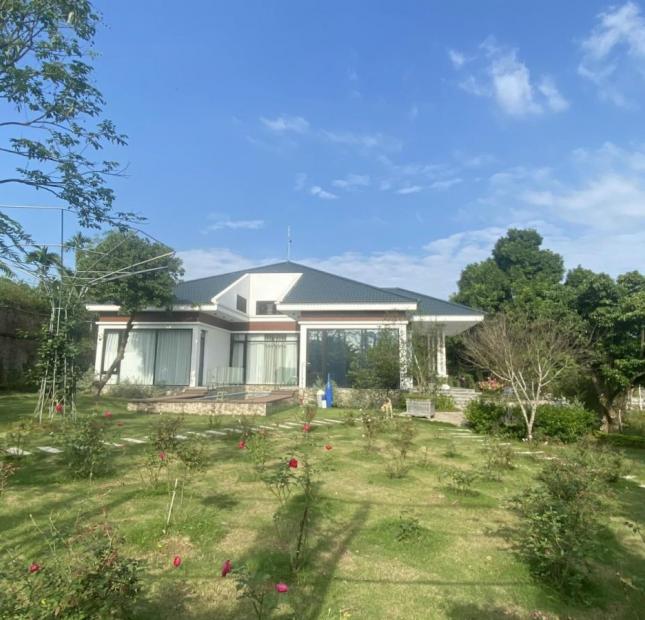 Chính chủ chuyển công tác nên bán biệt thự tâm huyết tự xây Thụy An, Ba Vì, Hà Nội