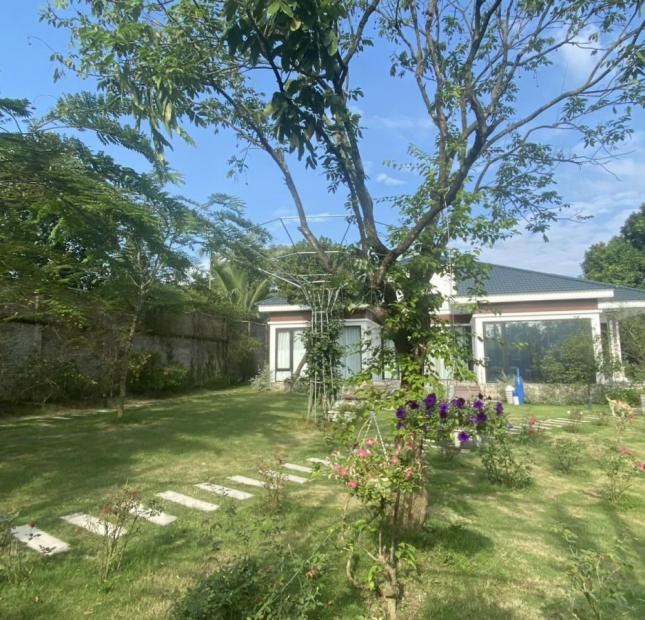 Chính chủ chuyển công tác nên bán biệt thự tâm huyết tự xây Thụy An, Ba Vì, Hà Nội