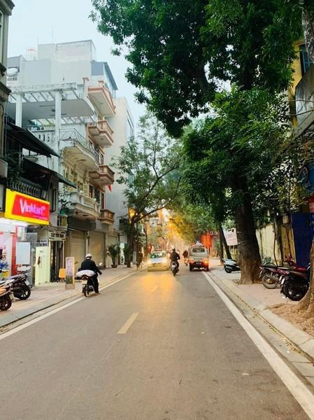 Mặt Phố Phó Đức Chính 158m2 , MT6, Giá 60 tỷ