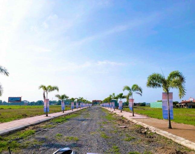 Đã có giá và giỏ hàng chính thức dự án Gems Garden ,chiết khấu 7%